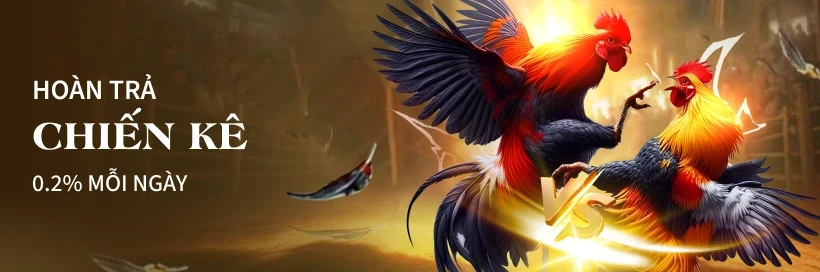 TX88 Hoàn Trả Đá Gà 0.2%