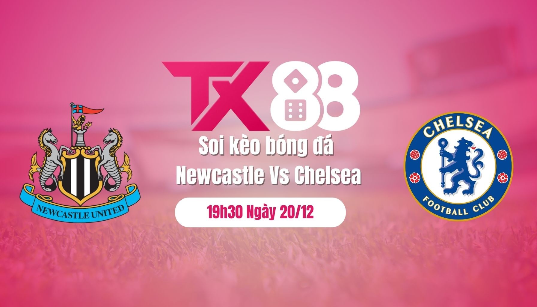 TX88 Soi Kèo Bóng Đá Newcastle Vs Chelsea, 19h30 Ngày 20/12: Chelsea Thích Giải Toán Khó