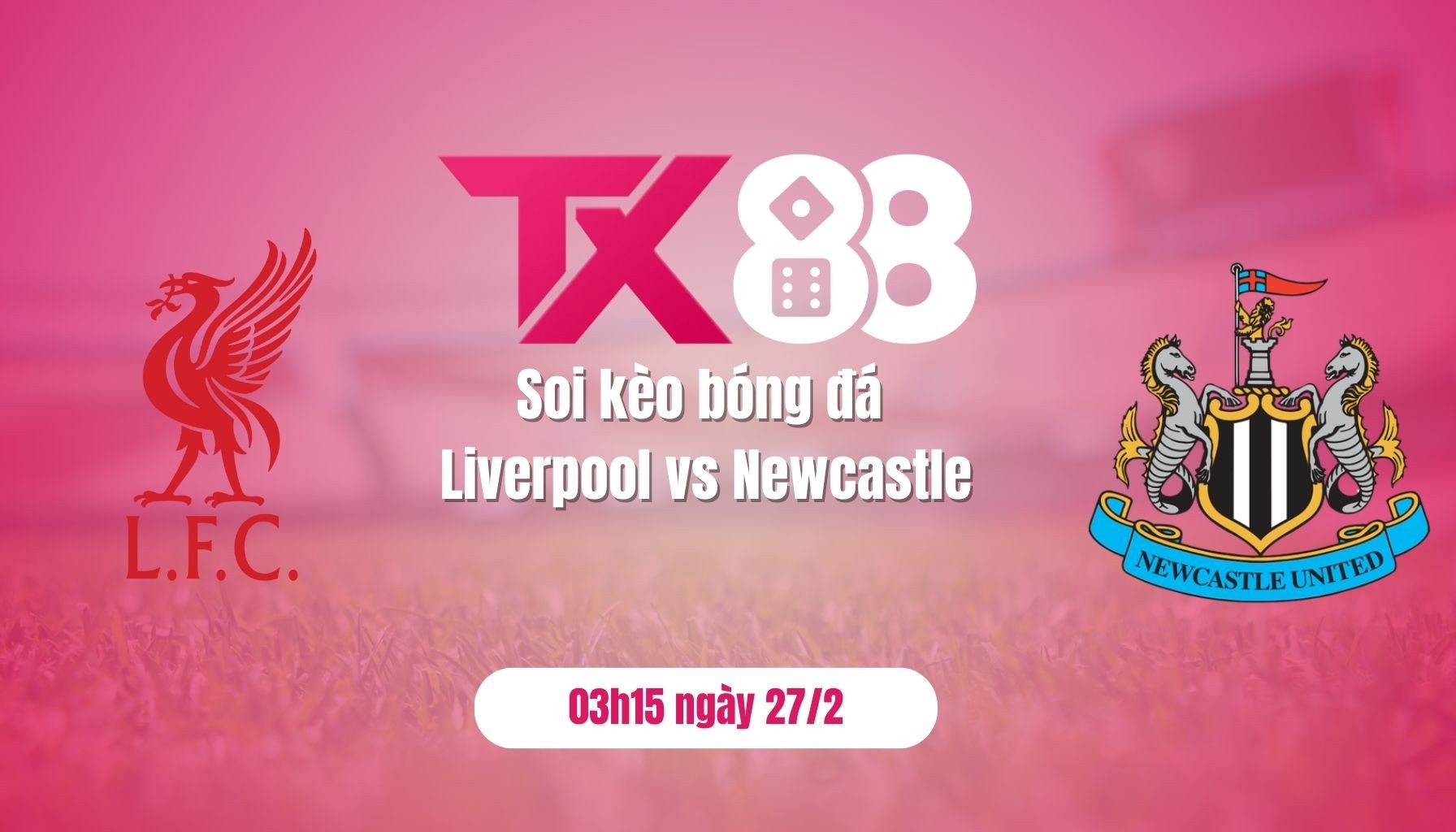 TX88 Soi kèo bóng đá Liverpool vs Newcastle, 03h15 ngày 27/2: Chia điểm ở Anfield